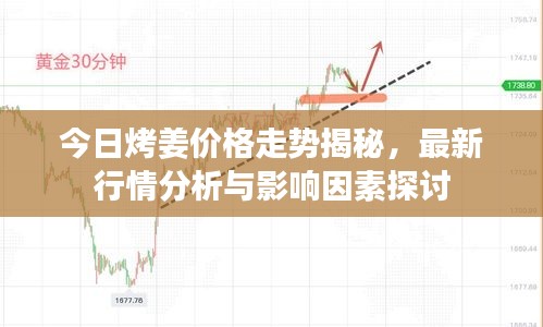 今日烤姜价格走势揭秘，最新行情分析与影响因素探讨