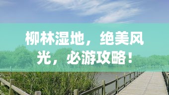 柳林湿地，绝美风光，必游攻略！