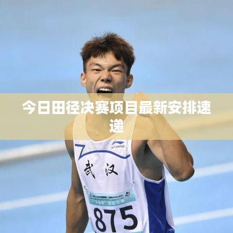 今日田径决赛项目最新安排速递