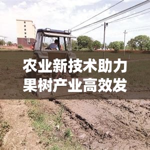 农业新技术助力果树产业高效发展，高效果树促控制助力产业腾飞