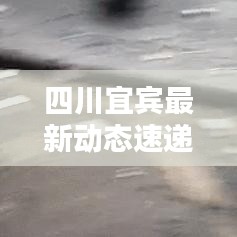 四川宜宾最新动态速递