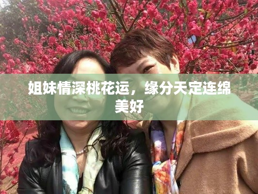知错就改 第2页