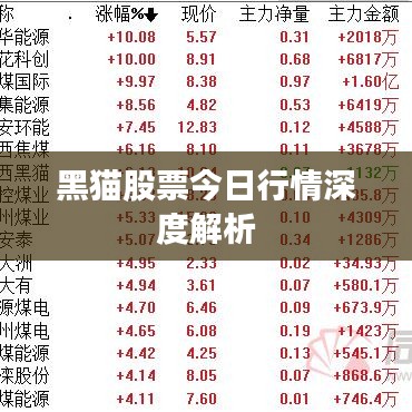 黑猫股票今日行情深度解析