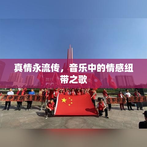 真情永流传，音乐中的情感纽带之歌