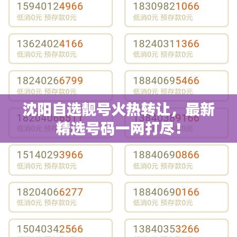 沈阳自选靓号火热转让，最新精选号码一网打尽！