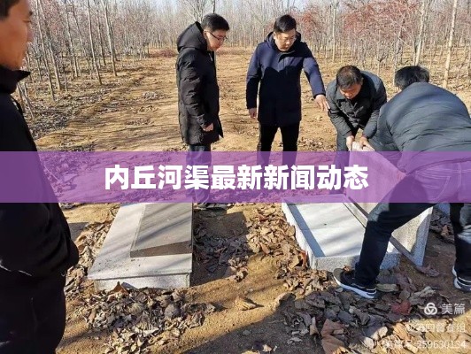 鸟为食亡 第2页