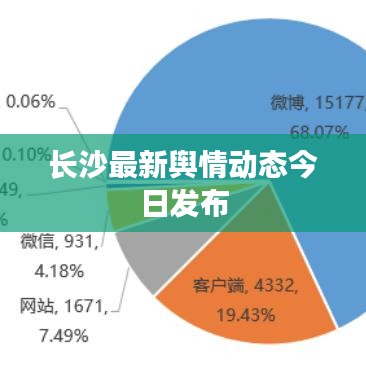 长沙最新舆情动态今日发布