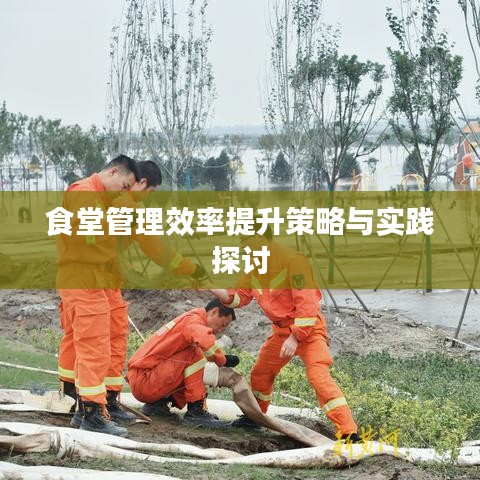 食堂管理效率提升策略与实践探讨
