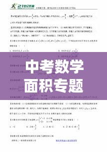 中考数学面积专题深度解析
