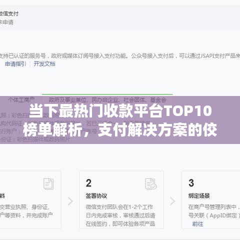 当下最热门收款平台TOP10榜单解析，支付解决方案的佼佼者
