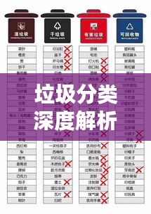 垃圾分类深度解析，背后的意义与行动指南