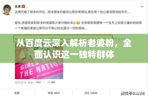 从百度云深入解析老婆粉，全面认识这一独特群体