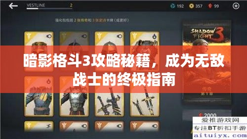 暗影格斗3攻略秘籍，成为无敌战士的终极指南