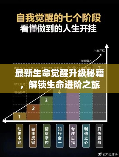最新生命觉醒升级秘籍，解锁生命进阶之旅