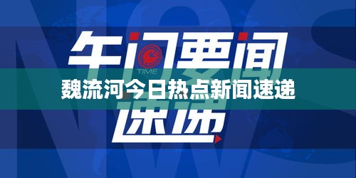 魏流河今日热点新闻速递