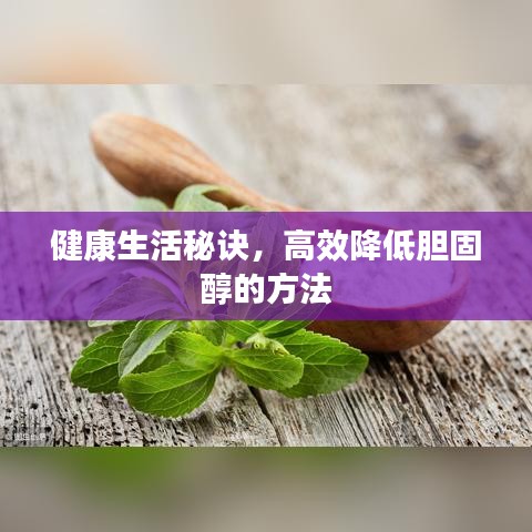 健康生活秘诀，高效降低胆固醇的方法
