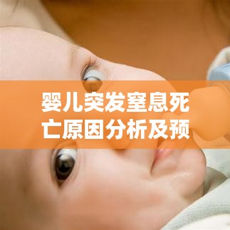 驾轻就熟 第2页