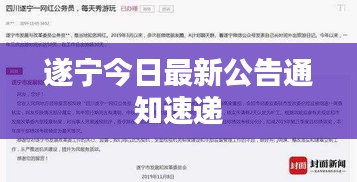 遂宁今日最新公告通知速递