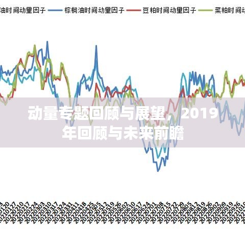 动量专题回顾与展望，2019年回顾与未来前瞻