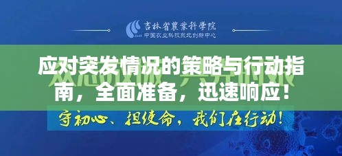 应对突发情况的策略与行动指南，全面准备，迅速响应！