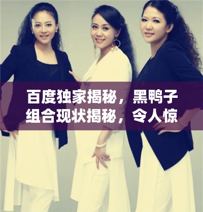 百度独家揭秘，黑鸭子组合现状揭秘，令人惊喜的发现！