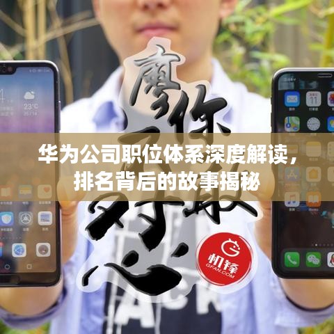 华为公司职位体系深度解读，排名背后的故事揭秘