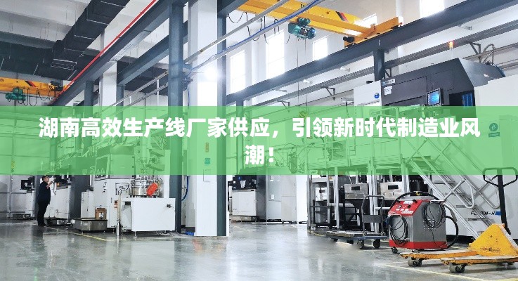 湖南高效生产线厂家供应，引领新时代制造业风潮！