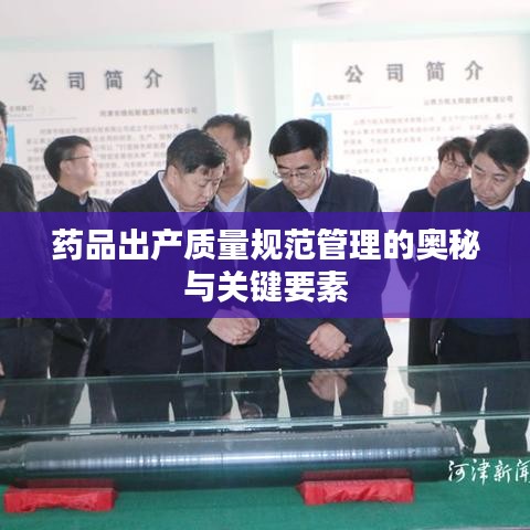 药品出产质量规范管理的奥秘与关键要素