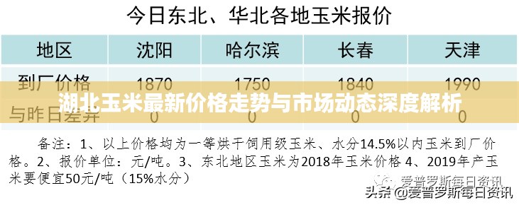 湖北玉米最新价格走势与市场动态深度解析