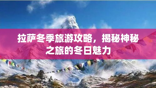 拉萨冬季旅游攻略，揭秘神秘之旅的冬日魅力