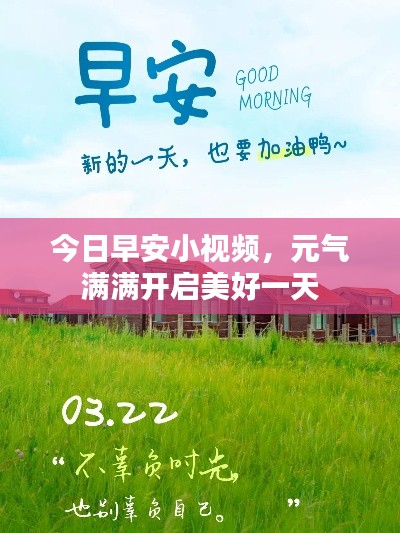 草率从事