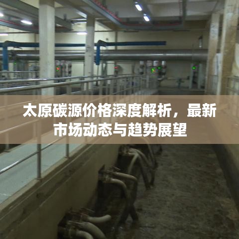 太原碳源价格深度解析，最新市场动态与趋势展望
