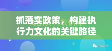 抓落实政策，构建执行力文化的关键路径，方法与策略探讨