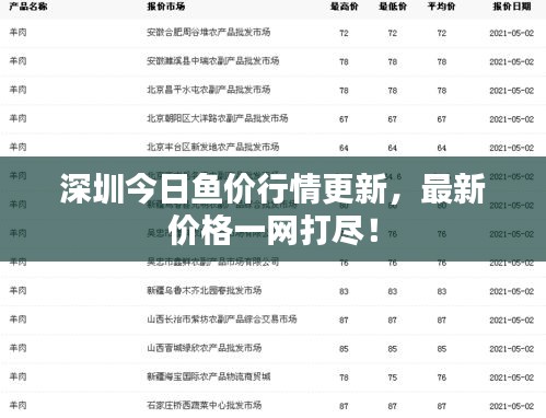 深圳今日鱼价行情更新，最新价格一网打尽！