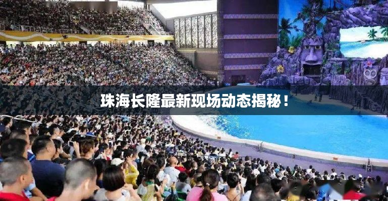 珠海长隆最新现场动态揭秘！