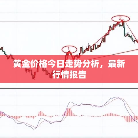 黄金价格今日走势分析，最新行情报告
