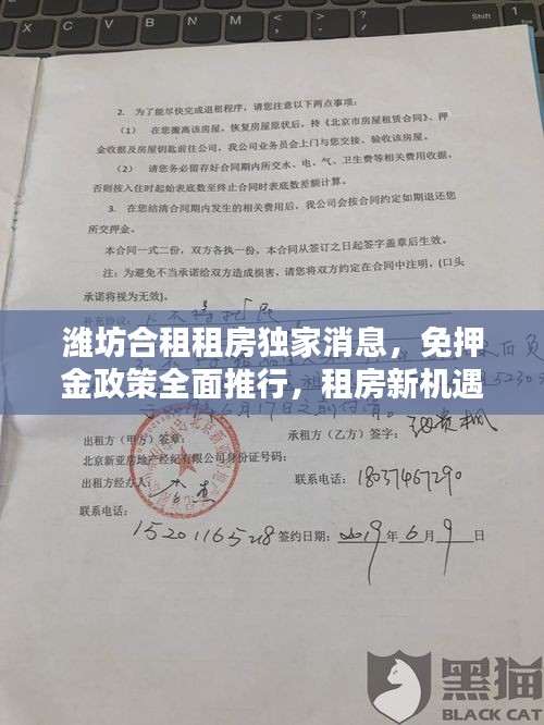 潍坊合租租房独家消息，免押金政策全面推行，租房新机遇！