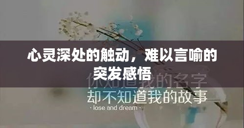 心灵深处的触动，难以言喻的突发感悟