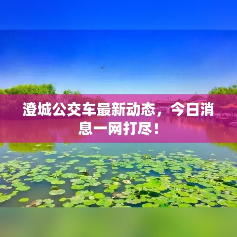 澄城公交车最新动态，今日消息一网打尽！