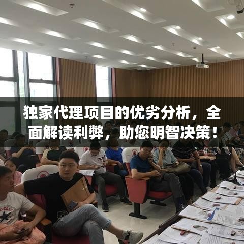 独家代理项目的优劣分析，全面解读利弊，助您明智决策！