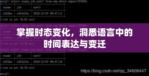 掌握时态变化，洞悉语言中的时间表达与变迁
