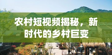 农村短视频揭秘，新时代的乡村巨变