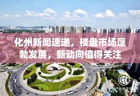 化州新闻速递，楼盘市场蓬勃发展，新动向值得关注