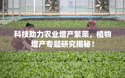 科技助力农业增产繁荣，植物增产专题研究揭秘！