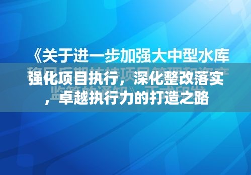 强化项目执行，深化整改落实，卓越执行力的打造之路
