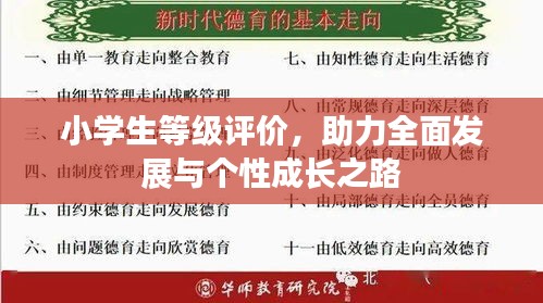 小学生等级评价，助力全面发展与个性成长之路