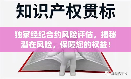 独家经纪合约风险评估，揭秘潜在风险，保障您的权益！