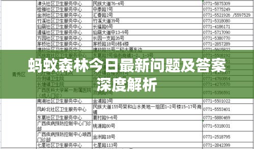 蚂蚁森林今日最新问题及答案深度解析