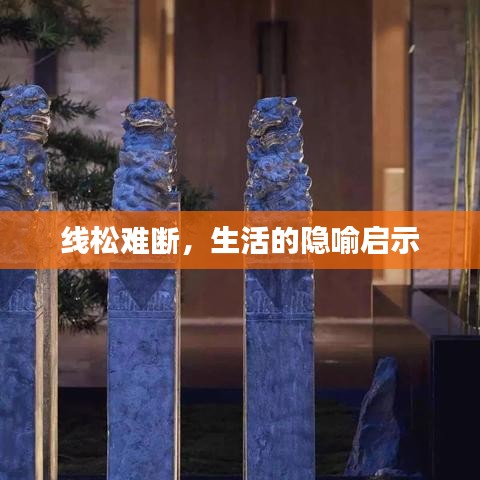 线松难断，生活的隐喻启示