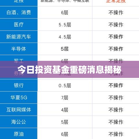 今日投资基金重磅消息揭秘